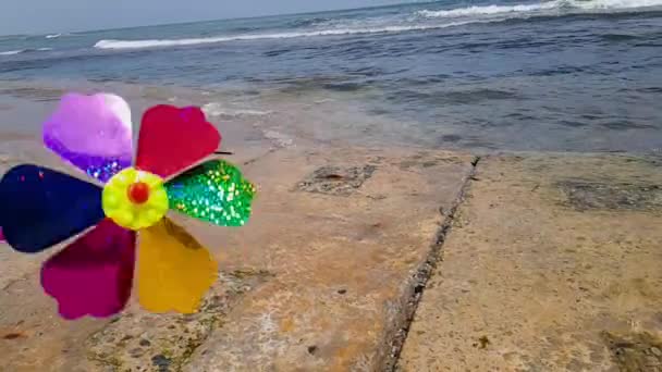 Moulin à vent pour enfants en mer. Moulin à vent pour enfants. Un moulin à vent pour enfants coloré tourne sur le bord de la mer. — Video