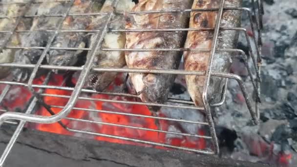 Grillar fisk. Processen för att grilla fisk. Fisk stekt på grillen närbild. Fisken är stekt över glödande kol. Fisk är stekt på ett galler — Stockvideo