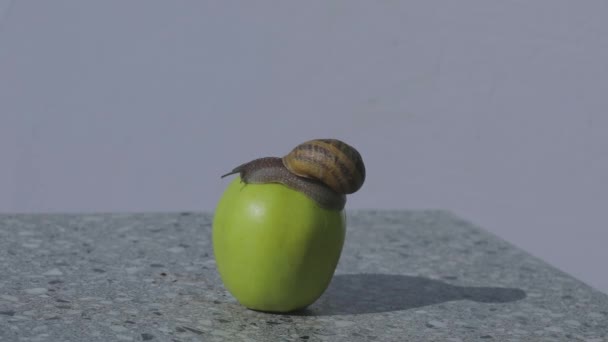 푸른 사과에 손톱을 대 세요. 사과를 클로즈업 한 번빨아 보 세요. 사과 위를 기어다니는 달팽이. — 비디오