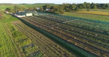 Tarım havadan görüşü. Havadan tarla. Kırsalda küçük bir hava üzerinde uçmak. Gün batımında kırsalda küçük bir çiftlik.