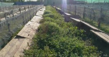 Salyangoz çiftliğinin üzerinden uç. Salyangoz çiftliği hava manzarası. Salyangoz çiftliği üst görünümü.