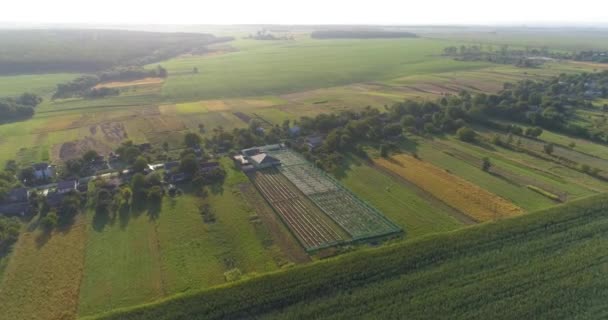 Flyv over en lille luft på landet. Lille gård på landet ved solnedgang. Landbrug fra luften. Gård fra luften – Stock-video