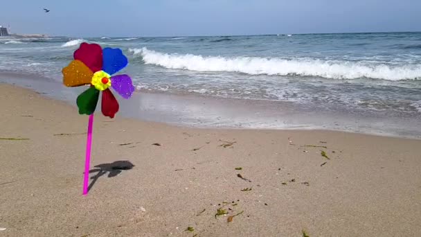Een gekleurde kindermolen draait uit de wind aan de kust. Kinderwindmolen op zee. Een kinderwindmolen in de wind — Stockvideo