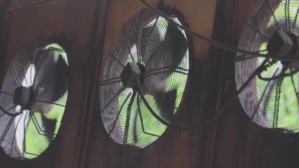 Gros plan des ventilateurs dans une usine. Ventilation de l'atelier avec ventilateurs industriels close-up — Video