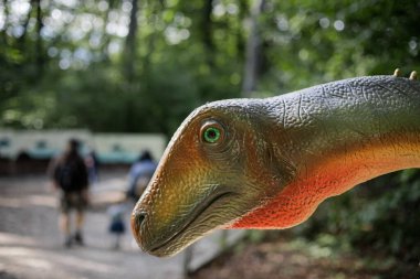 Rasnov, Romanya - 3 Ekim 2020: Romanya 'daki bir açık hava dino parkında bir dinozor modeliyle ilgili ayrıntılar.