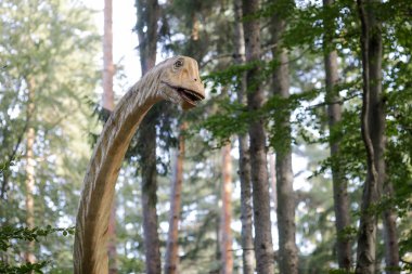 Rasnov, Romanya - 3 Ekim 2020: Romanya 'daki bir açık hava dino parkında bir dinozor modeliyle ilgili ayrıntılar.