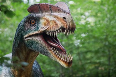 Rasnov, Romanya - 3 Ekim 2020: Romanya 'daki bir açık hava dino parkında bir Dilophosaurus dinozor modeliyle ayrıntılar.