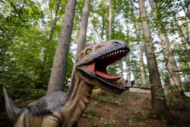 Rasnov, Romanya - 3 Ekim 2020: Romanya 'daki bir açık hava dino parkında bir Deinonychus dinozor modeliyle ayrıntılar.