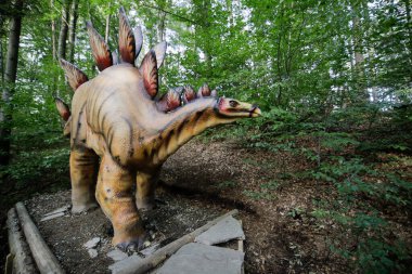 Rasnov, Romanya - 3 Ekim 2020: Romanya 'daki bir açık hava dino parkında Stegosaurus dinozor modeli ile ayrıntılar.