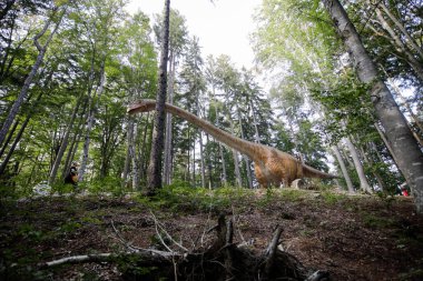 Rasnov, Romanya - 3 Ekim 2020: Romanya 'daki bir açık hava dino parkında bir Seismosaurus dinozor modeliyle ayrıntılar.