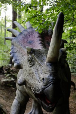 Rasnov, Romanya - 3 Ekim 2020: Romanya 'daki bir açık hava dinozor parkında bir Styracosaurus dinozor modeli ile ayrıntılar.