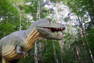 Rasnov, Romanya - 3 Ekim 2020: Romanya 'daki bir açık hava dino parkında Tyrannosaurus rex modeli.