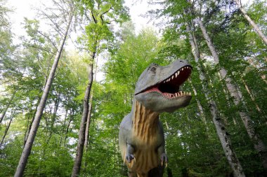 Rasnov, Romanya - 3 Ekim 2020: Romanya 'daki bir açık hava dino parkında Tyrannosaurus rex modeli.