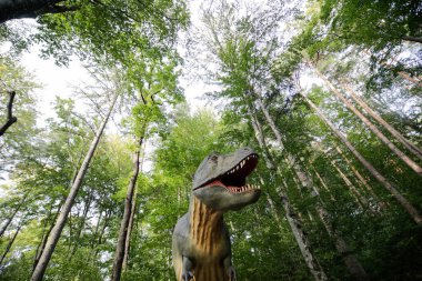 Rasnov, Romanya - 3 Ekim 2020: Romanya 'daki bir açık hava dino parkında Tyrannosaurus rex modeli.