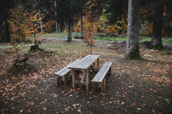 Wooden Table Benches Middle Romanian Forest Cold Rainy November Day — Stock Photo, Image