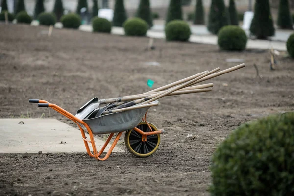 Wheelbarrow Gardening Tools Shovels Rake Site Tree Plantation —  Fotos de Stock