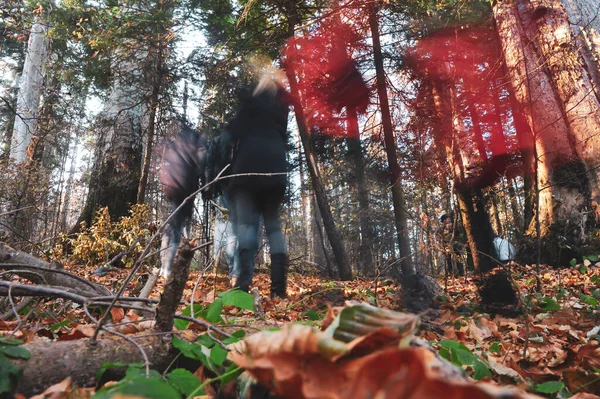 Long Exposure Time Image People Walking Romanian Pine Broadleaf Forest — Stock Photo, Image