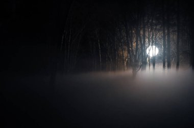 Karanlık bir ormanda gece sinematografide kullanılan karamsar bir görüntü ve yerden dumanlar - UFO kavramı.