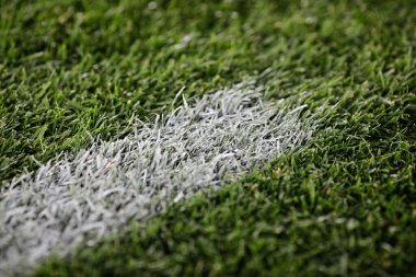 Bir futbol sahasında boyalı bir çizginin detaylarıyla sığ alan derinliği (seçici odak) resmi.