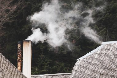 Romanya 'nın sisli ve soğuk bir kış günü, arka planında orman konisi olan baca tüttürmek..