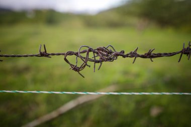 Bir çiftliği çevreleyen dikenli tel ve elektrikli kabloyla sığ alan derinliği (seçici odak) ayrıntıları.