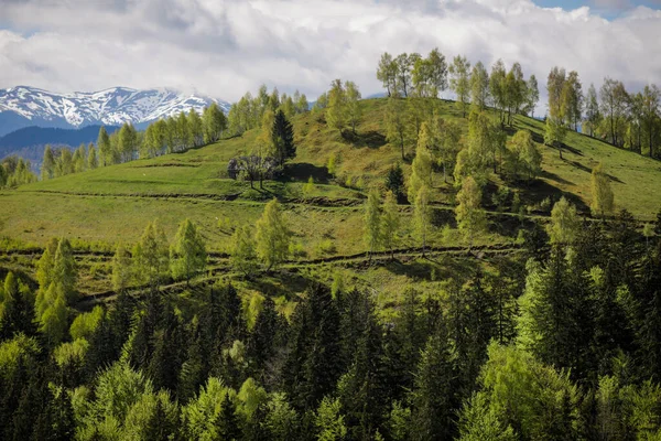 ルーマニアのトランシルヴァニアにある村や森のある丘陵で 背景にはブギ山脈があり 日没時に — ストック写真