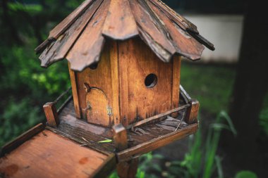 Ahşap kuş yuvası ile sığ alan derinliği (seçici odak) ayrıntıları.