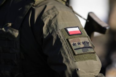 NATO Çok Uluslu Tatbikatı sırasında Polonyalı bir askerin yamasıyla ilgili ayrıntılar.