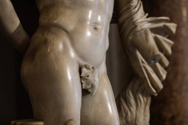 Roma, İtalya - 11 Ocak 2024 Vatikan Müzesi 'nde incir yapraklarıyla kaplı çıplak heykeller.