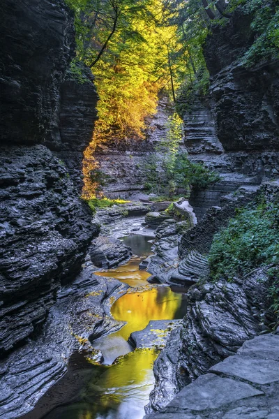 Il colore del mattino presto di Watkins Glen State Park — Foto Stock