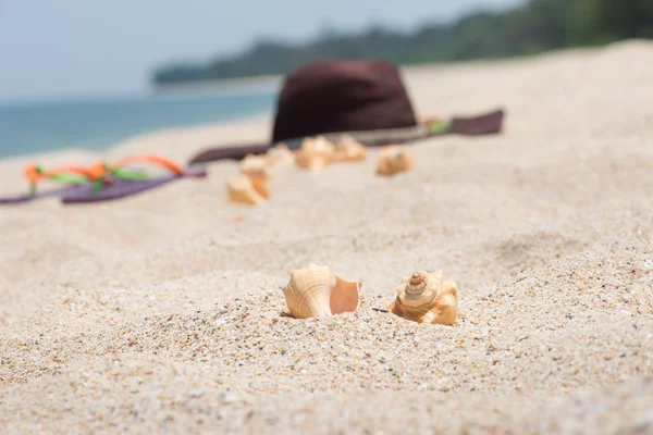 Escapada a la playa tropical — Foto de Stock