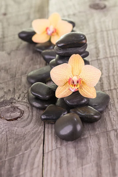 Orquídeas Phalaenopsis amarelas e pedras pretas na madeira weathered — Fotografia de Stock