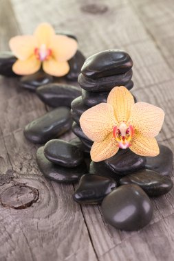 Yellow Moth orchids and black stones on weathered deck clipart