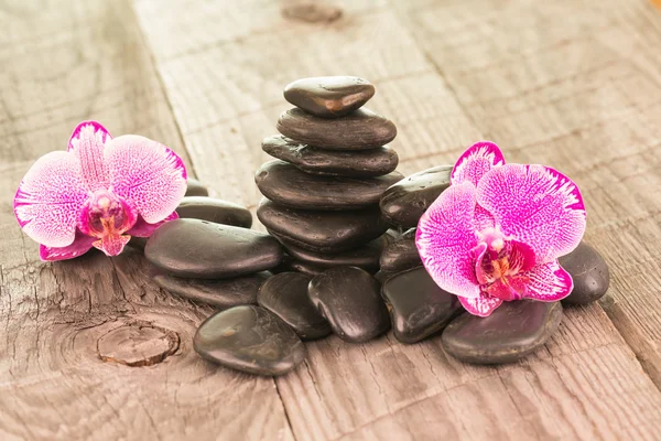Fuchsia mal orchid och svarta stenar på väderbitna däck — Stockfoto
