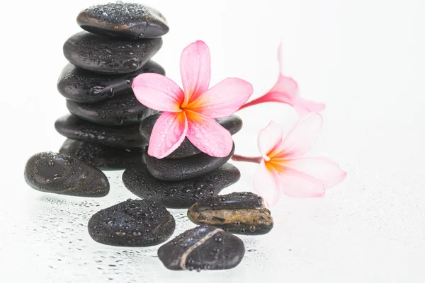 Plumeria kwiaty i czarne kamienie z bliska — Zdjęcie stockowe
