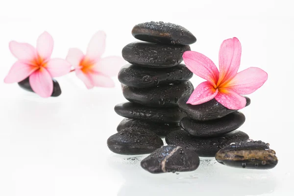 Plumeria flores y gotas de agua en piedras negras de cerca —  Fotos de Stock