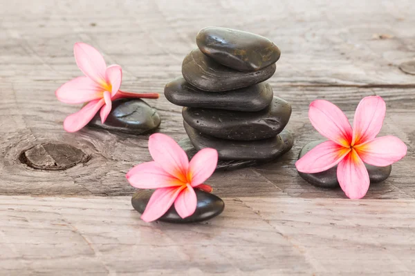 Plumeria flowers and black stones on weathered wood — Stock Photo, Image