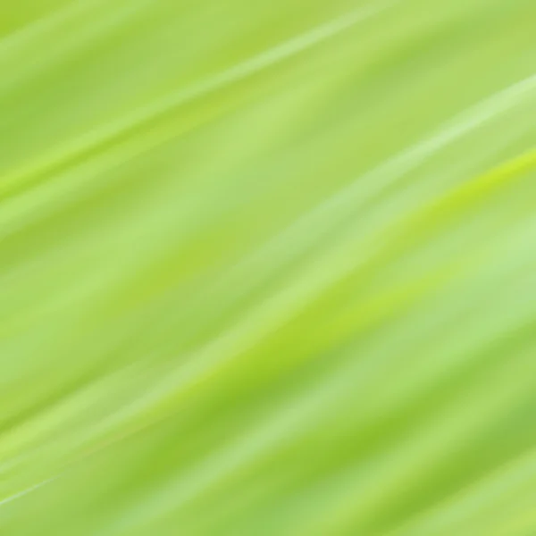 Green background smooth blur texture — Stock Photo, Image