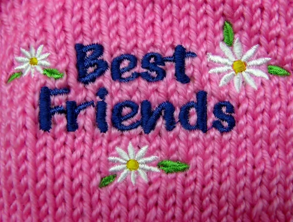 Best Friends Embroidery Pink Knitted Baby Sweater — Stock Photo, Image
