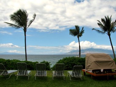 Yeşil çimenlikteki güneş yatakları. Maui Adası, Hawaii.