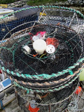 Yengeç halkası iskeleye yığıldı. Pender Limanı, Günışığı Sahili, BC, Kanada