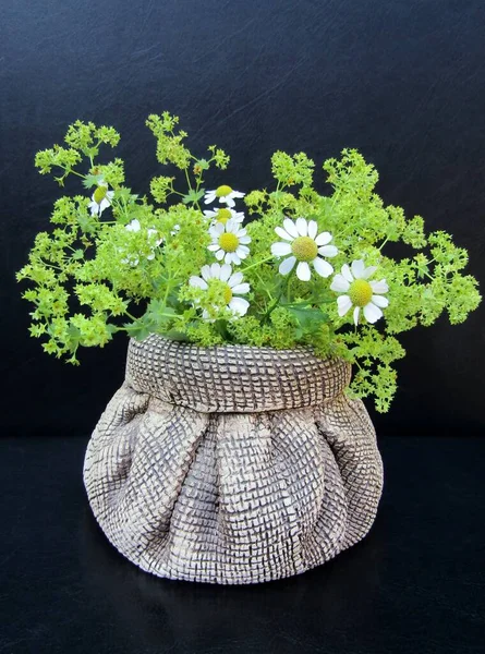 German Chamomile Daisy Garden Lady Mantle Flower Bouquet Pottery Sack — Stock Photo, Image