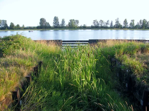 Bank Fraser River Steveston Steveston Cannery Row Richmond Canada — Stock Photo, Image