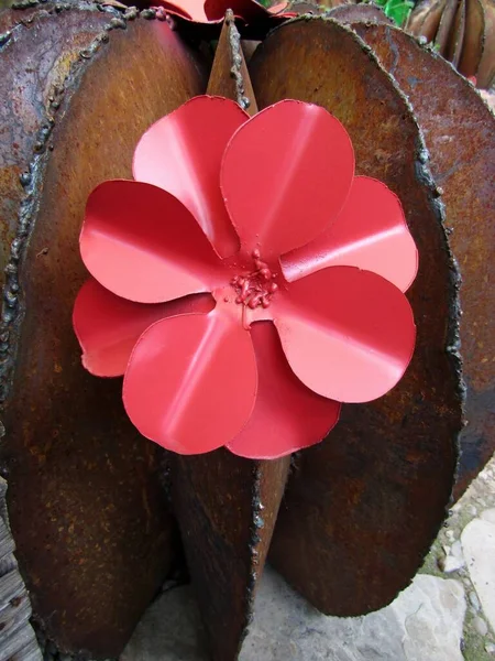 Cacto Metal Com Flor Vermelha Como Uma Decoração Jardim Rústica — Fotografia de Stock