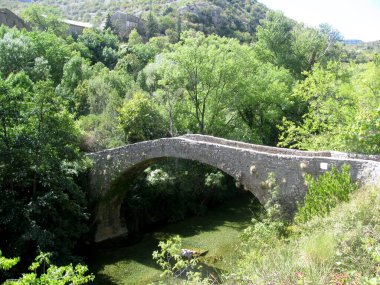 Old arched stone bridge across the Vis river in the Cirque de Navacelles. Gorges de la Vis, Hrault, Occitanie, France