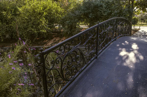 Stínu Stromů Botanické Zahradě Předměstí Teheránu Umělém Potoce Stojí Železný — Stock fotografie