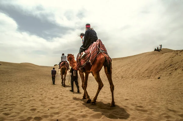 Язд Пустеля Іран Лютого 2021 Сафарі Іранській Пустелі Провідниками Верблюдах — стокове фото
