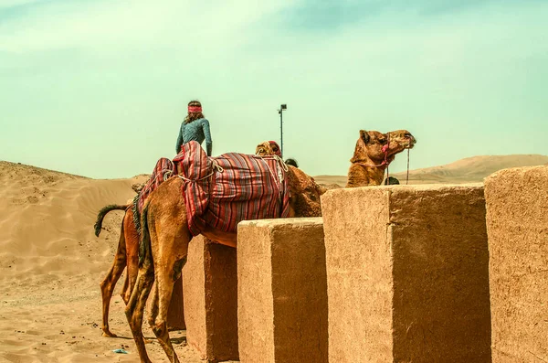 Yazd Desert Irã Fevereiro 2021 Pedra Suporta Conveniência Cavaleiros Uma — Fotografia de Stock