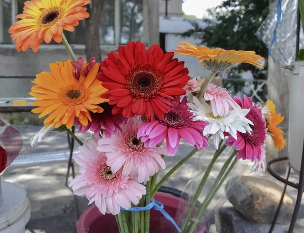 Gerberas 거리 무역 꽃다발 — 스톡 사진