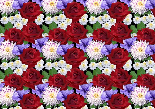 Οριζόντια ομοιογενές φόντο με τριαντάφυλλα ντάλιες asters — Φωτογραφία Αρχείου
